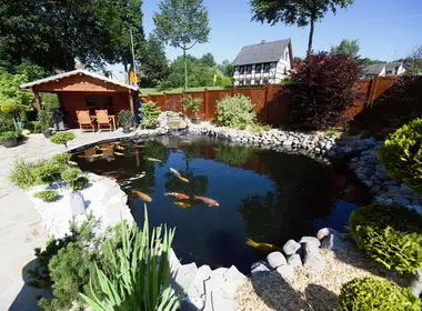 Teichbau Teichbau